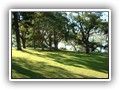 Garden Island Lawn Area
