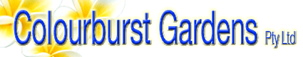 Click Here to Enter this Site.